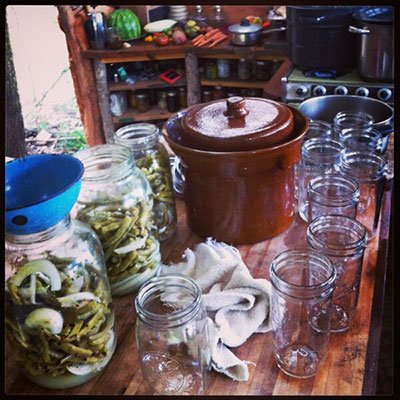 lactofermented pickles