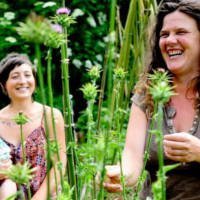 herbal apprenticeship laughing in the garden
