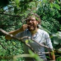 permaculture garden