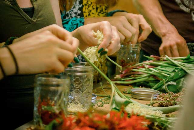 closeup of women's hands making herbal medicine in a rewilding retreat