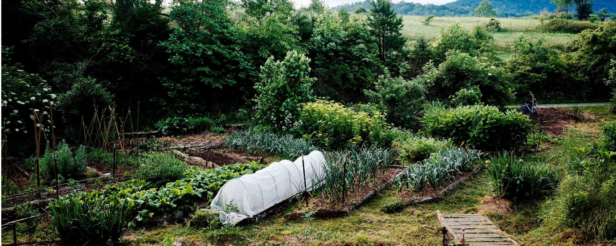 Permaculture Design Certificate Permaculture Certification PDC courses Earth Skills Asheville, NC