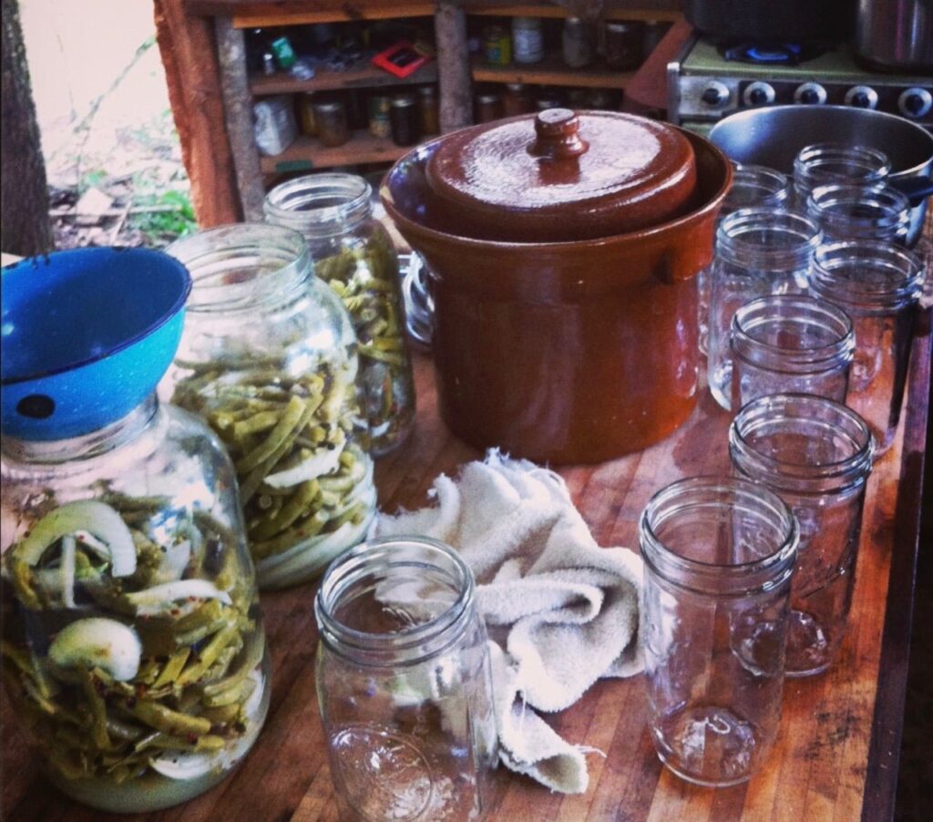 lactofermentation of pickles with jars