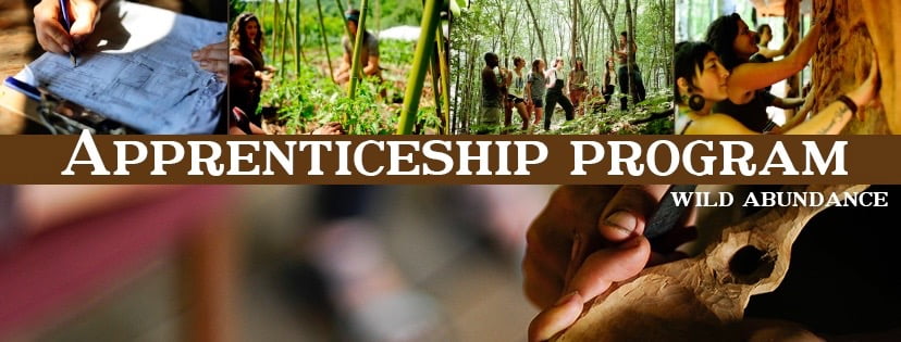 Wild Abundance apprenticeship program banner