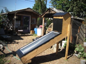 solar dehydrator drying mulberries