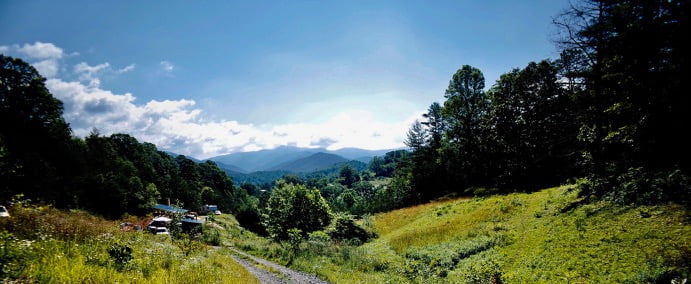 view from Wild Abundance apprenticeship site