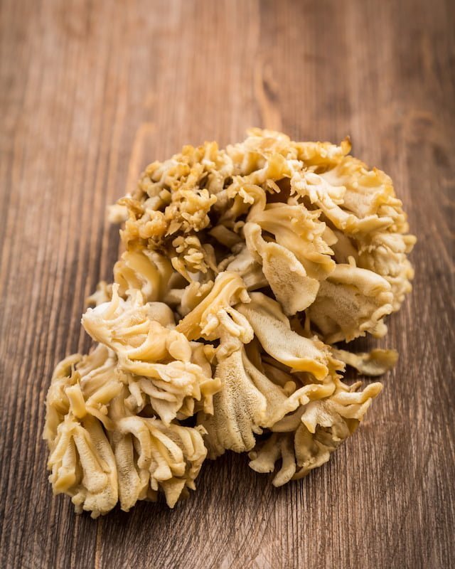Hen of the woods, picked, on a table