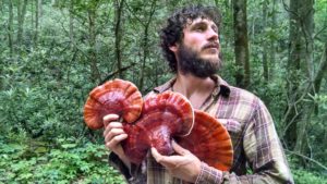 Frank Salzano with beautiful reishi mushrooms