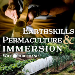 permaculture design course button