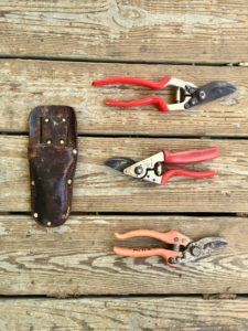 bypass pruners for pruning fruit trees