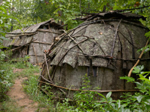 Catawba style bark lodge