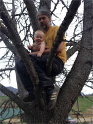 Eric Bell arborist in a tree with his baby