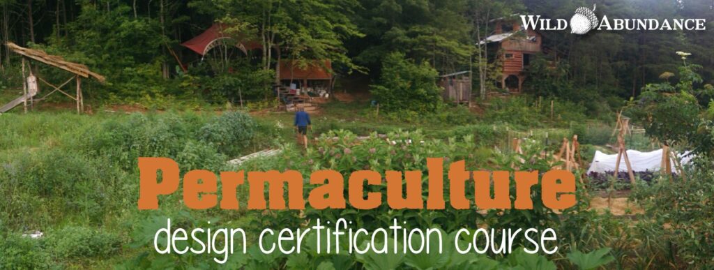 permaculture garden image banner ad for permaculture design course