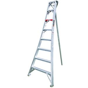 orchard ladder