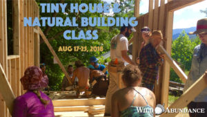 Learn to build your own tiny house in our workshop