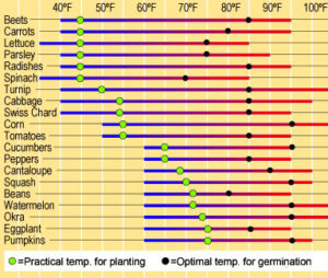 direct sowing requires warm soil temperatures