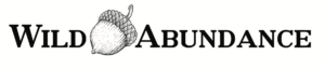 WA logo