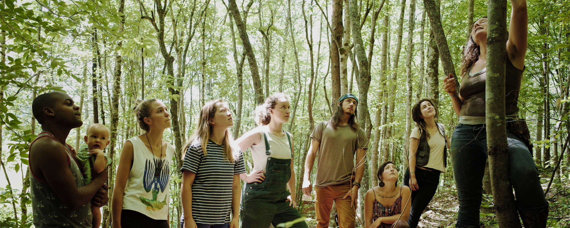 How To Live Off The Land 8 Month Apprenticeship Wild Abundance