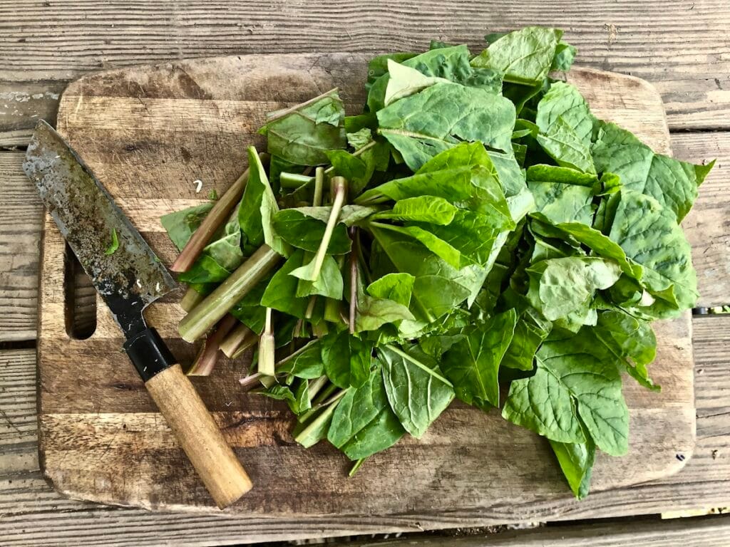 Edible weeds known as poke are laying chopped up on a cutting board at Wild Abundance