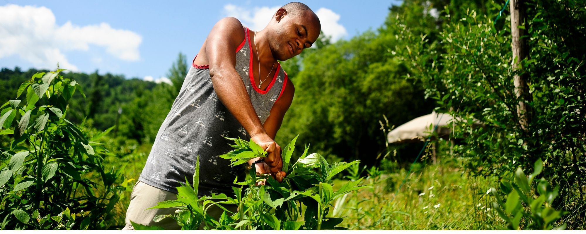 how to live off the land: a permaculture guide banner