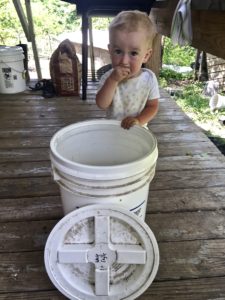 outdoor kitchen idea to keep food safe