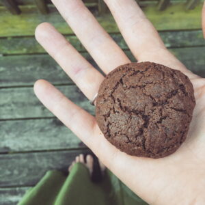 acorn cookie