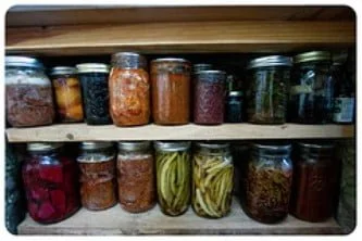 The Master Guide of Materials You Need to Make Homemade Fermented  Vegetables - One Green Planet