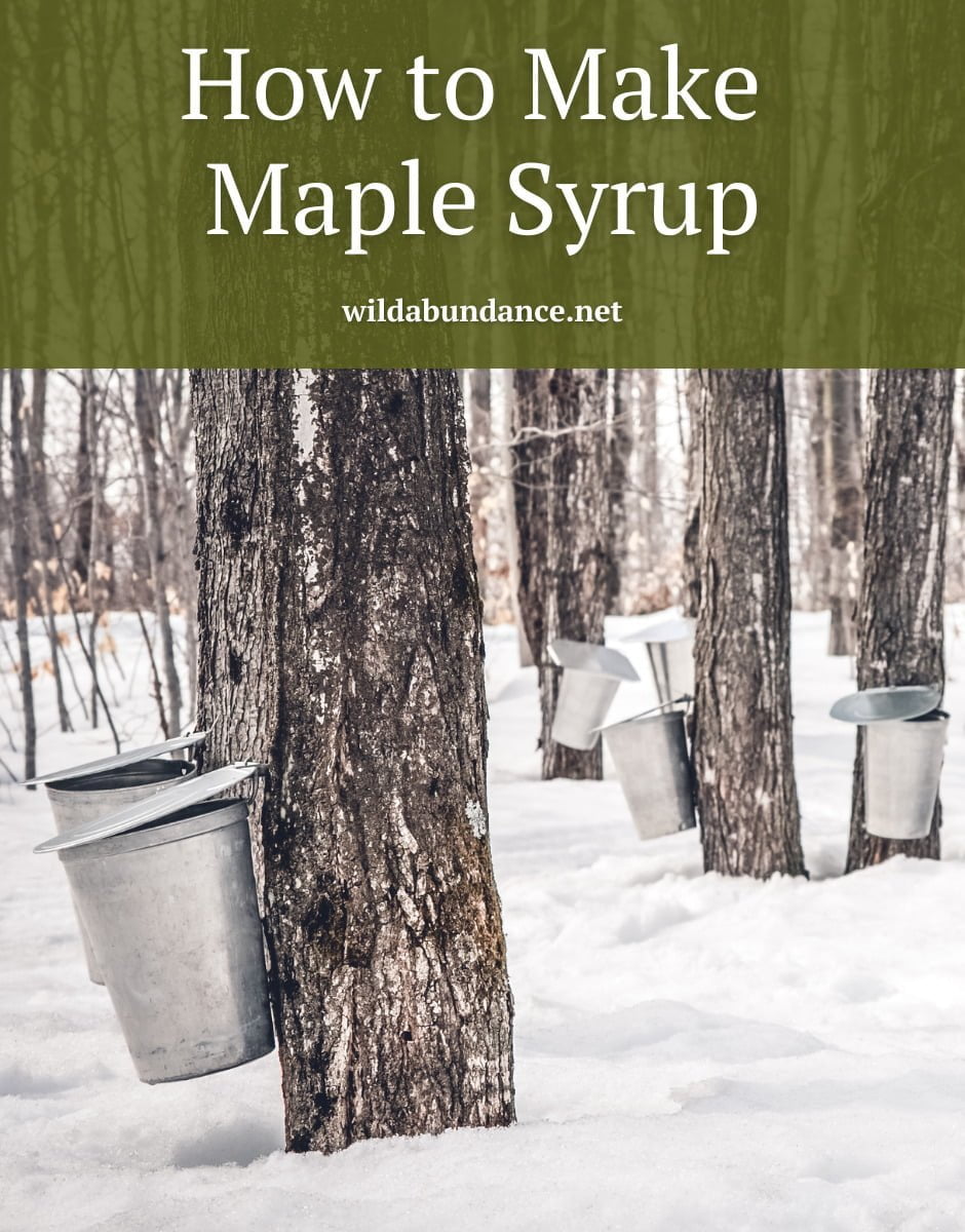 How to make maple syrup