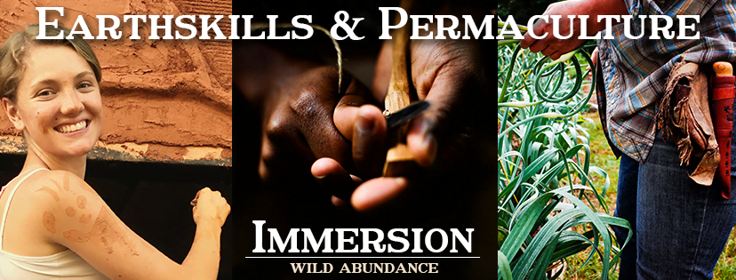 permaculture design certificate immersion course banner