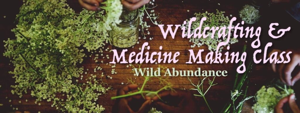 wildcrafting and medicine making herbalist course banner