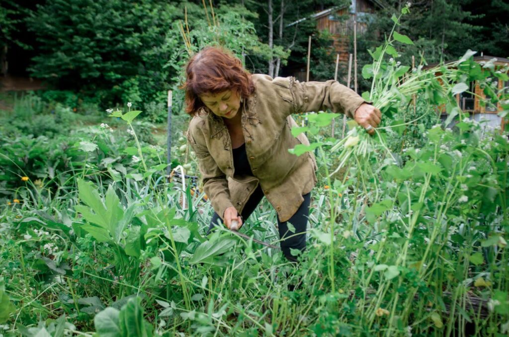 How To Weed A Garden Wild Abundance