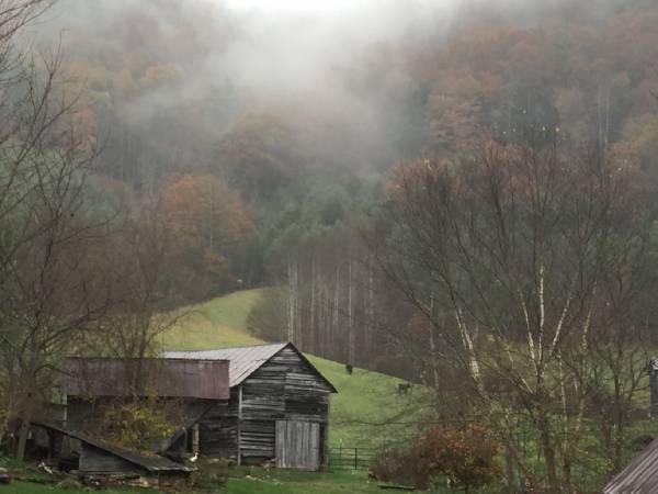 permaculture asheville