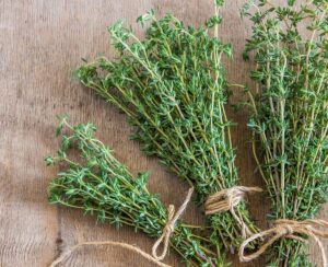 bunches of fresh thyme. 