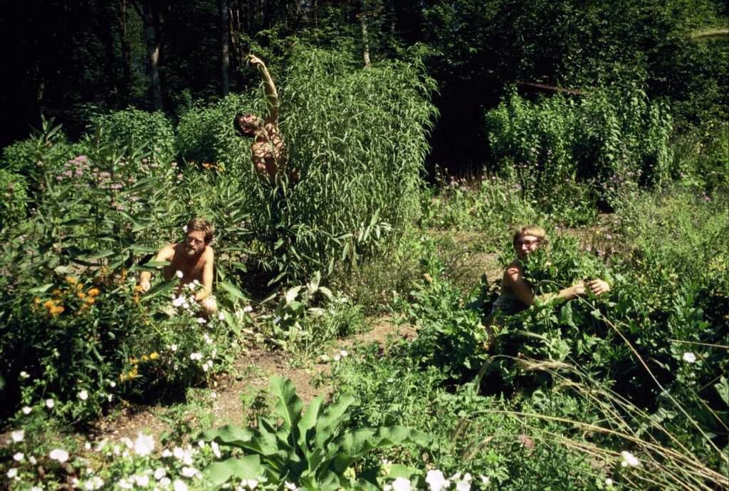 group of people weeding a garden