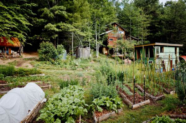 garden beds on homestead near asheville nc