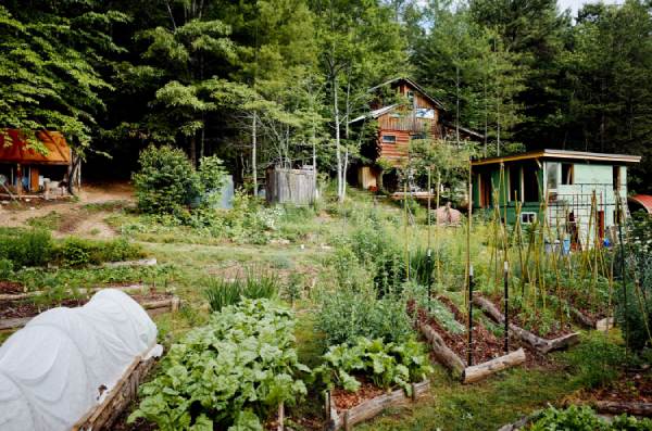 self sufficient homestead