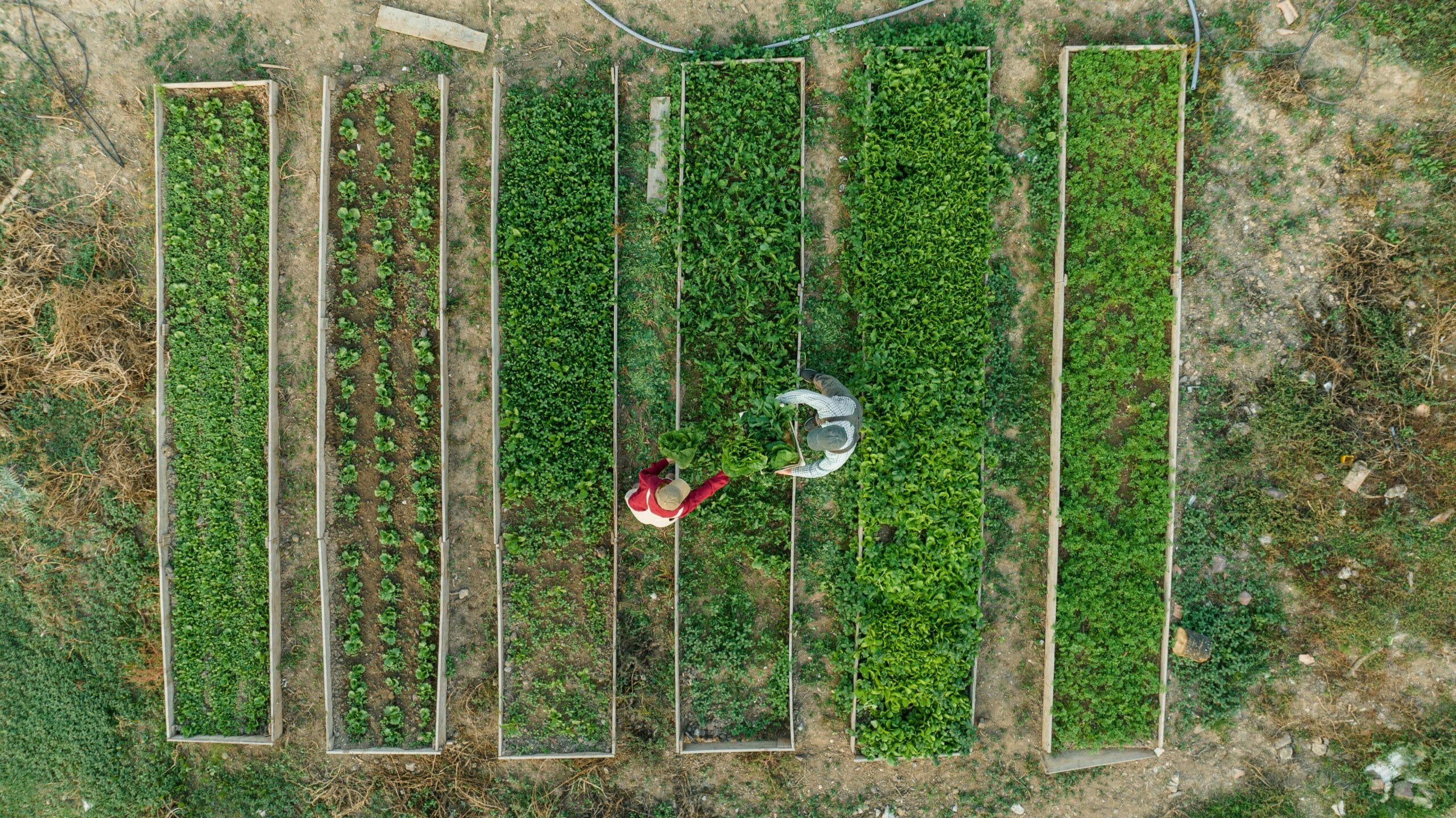 ahmet-kurt-cxzVrQTAap8-unsplash