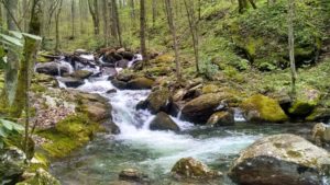 Appalachian stream running through the forest