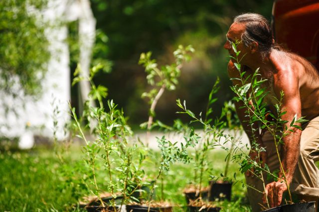 man with potted nursery plants