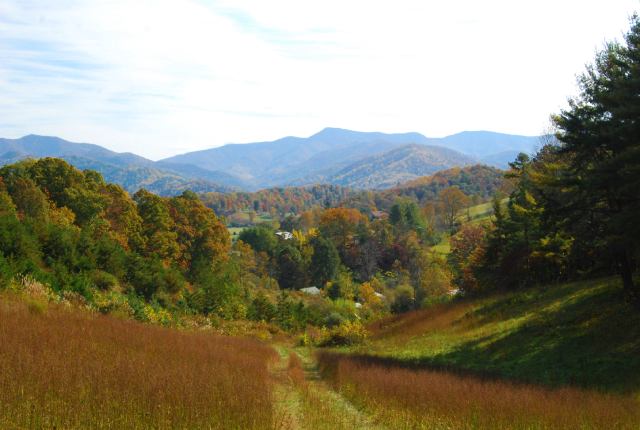 landscape on homestead near asheville nc