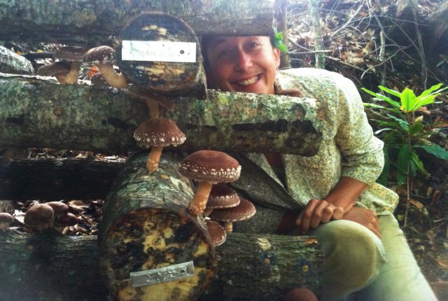 woman cultivating shiitake mushrooms