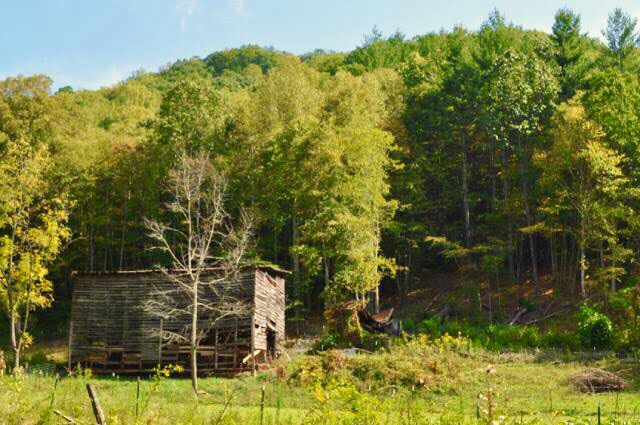 barn on land near forest