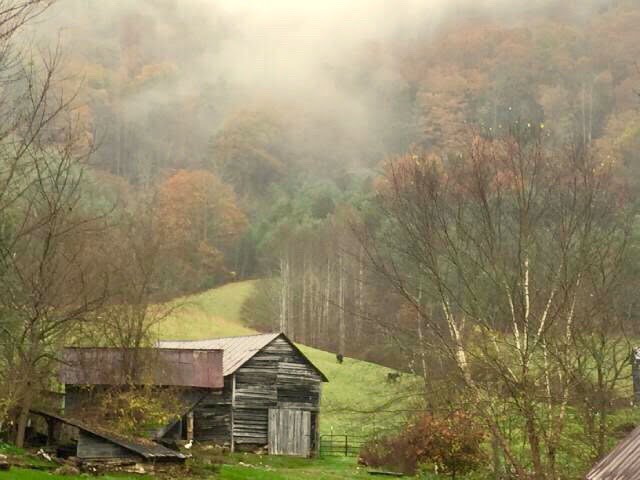 homestead in western north carolina with livestock