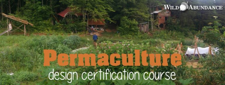 permaculture garden photo banner for permaculture design course