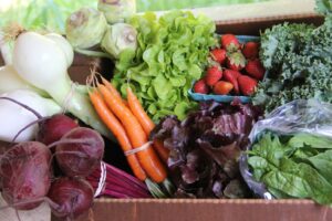 CSA box of spring vegetables from Ivy Creek Family Farm