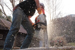 sawing a log with a chainsaw for firewood