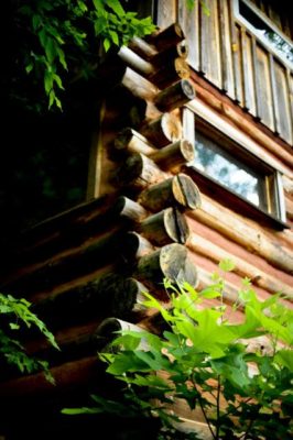 log cabin house made from natural materials