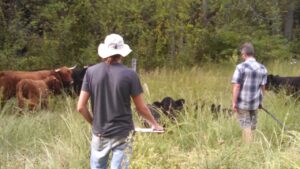 how to make money living off the land how to make money living off the land