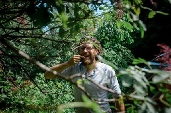 man eating elderberries in perennial garden