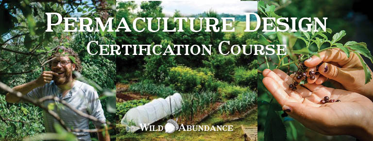 permaculture design certification course banner