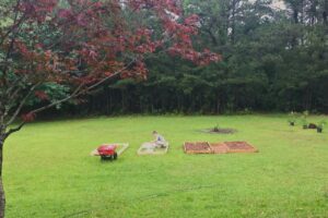 woman working to make raised garden beds in a lawn